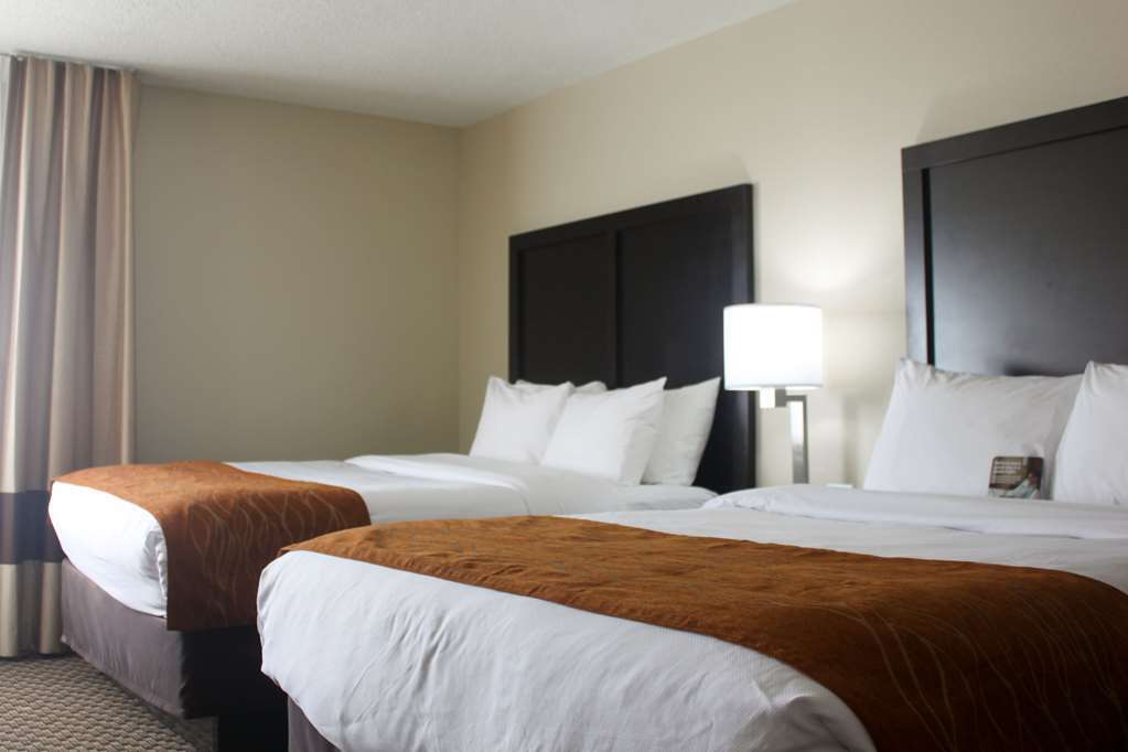 Comfort Inn Matteson - Chicago Zimmer foto